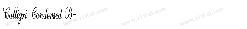 Calligri Condensed B字体转换